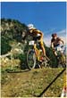 Campionato Italiano #287AB4